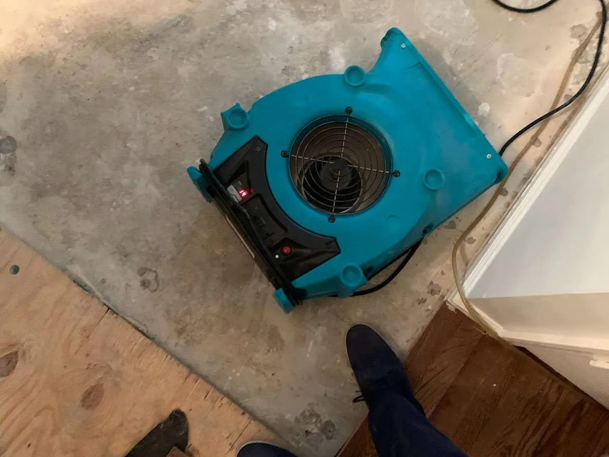 Air mover drying subfloor during Commercial Water Damage Restoration in Waipio
